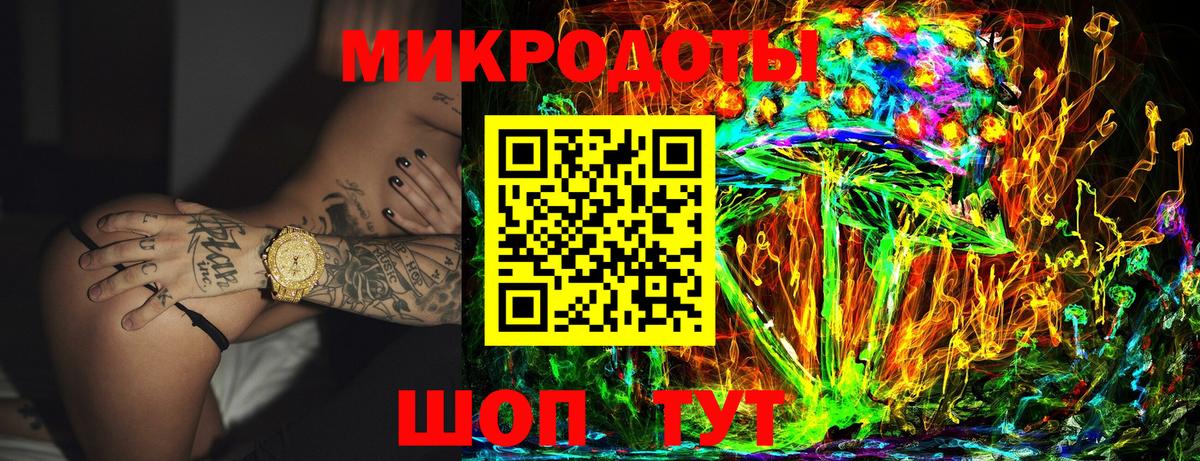 Псилоцибиновые грибы Cubensis Грязи